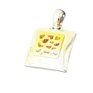 Silver & Gold Tone Cheetah Pendant